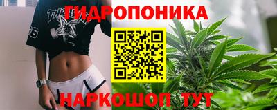 крисы Кинель