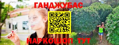 крисы Кинель
